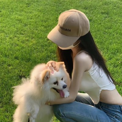 鸟儿们的奇幻冒险